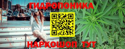 СК Коммунар
