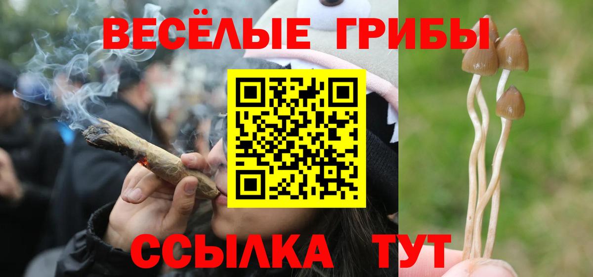 Галлюциногенные грибы ЛСД Комсомольск-на-Амуре