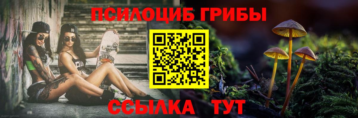Комсомольск-на-Амуре  Псилоцибиновые грибы Psilocybe  Вход с VPN  Псилоцибиновые грибы GOLDEN TEACHER 